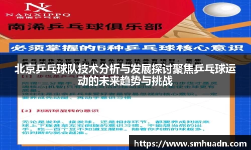 北京乒乓球队技术分析与发展探讨聚焦乒乓球运动的未来趋势与挑战